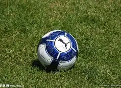 首届北京匹,克球公开赛,战幕开启,澳门金沙赌场网址,澳门金沙赌场网址入口,澳门金沙赌场网址平台,澳门金沙赌场网址官方