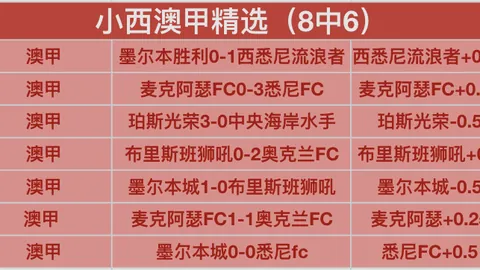 “跨国与本土政企足球联谊赛”